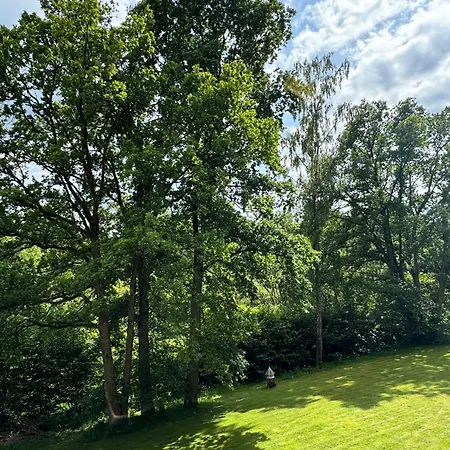 - Willingen In 10min Apartament Brilon